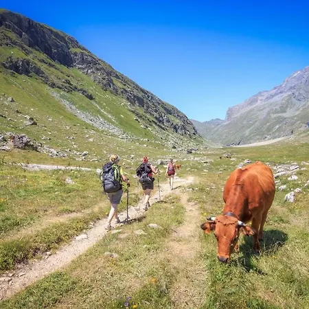 Lovatière Convivial Vue Montagne